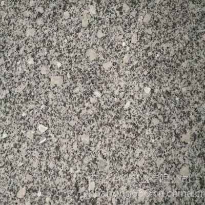 白色花崗巖梨花白板材 華鴻石業(yè)供應(yīng)600*600*15mm磨光面廚房臺(tái)面